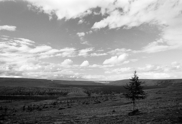 ���������� ����� (������ �. ��������)