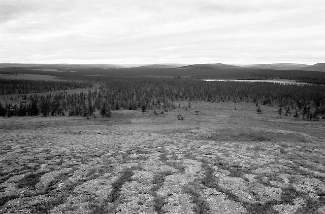 ���� � ���������